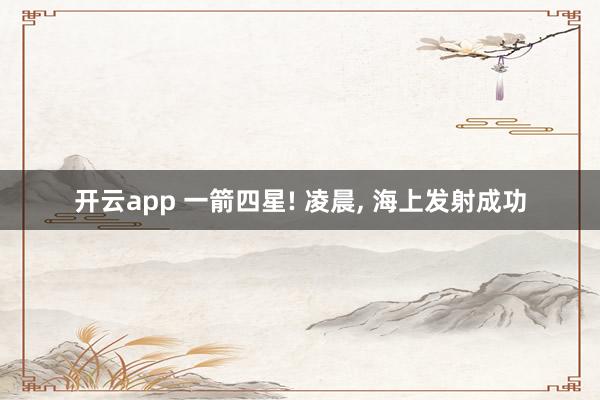 开云app 一箭四星! 凌晨, 海上发射成功