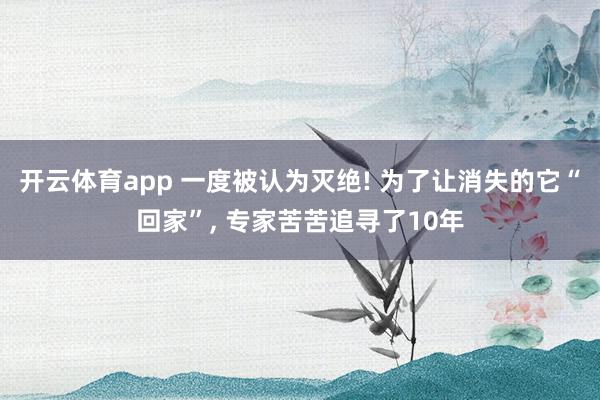 开云体育app 一度被认为灭绝! 为了让消失的它“回家”, 专家苦苦追寻了10年