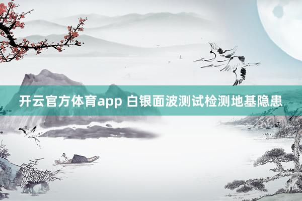 开云官方体育app 白银面波测试检测地基隐患