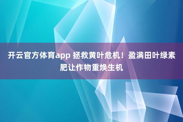 开云官方体育app 拯救黄叶危机！盈满田叶绿素肥让作物重焕生机