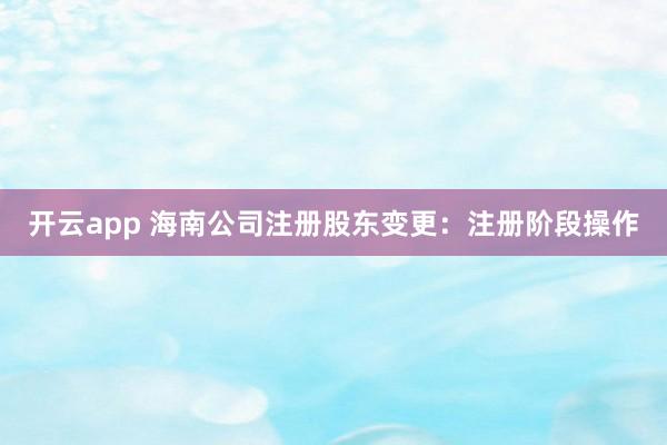 开云app 海南公司注册股东变更：注册阶段操作