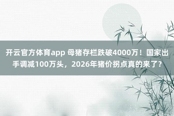 开云官方体育app 母猪存栏跌破4000万！国家出手调减100万头，2026年猪价拐点真的来了？