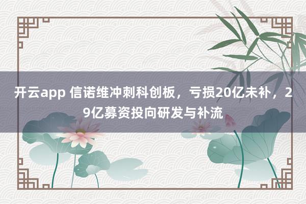 开云app 信诺维冲刺科创板,亏损20亿未补,29亿募资投向研发与补流