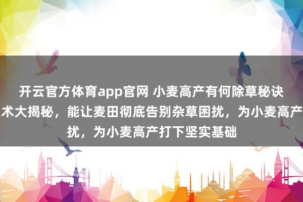 开云官方体育app官网 小麦高产有何除草秘诀？苗前封闭技术大揭秘，能让麦田彻底告别杂草困扰，为小麦高产打下坚实基础