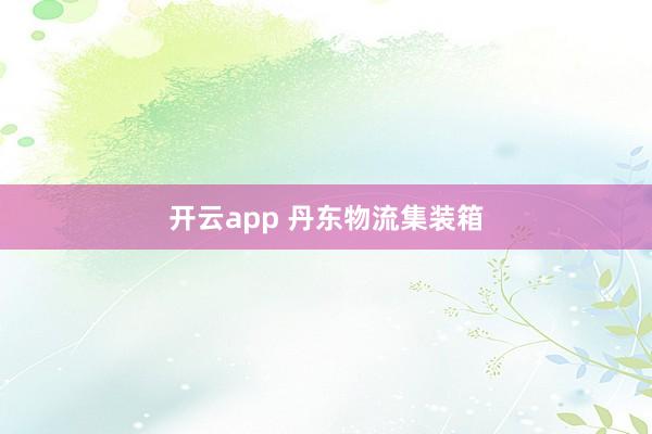 开云app 丹东物流集装箱