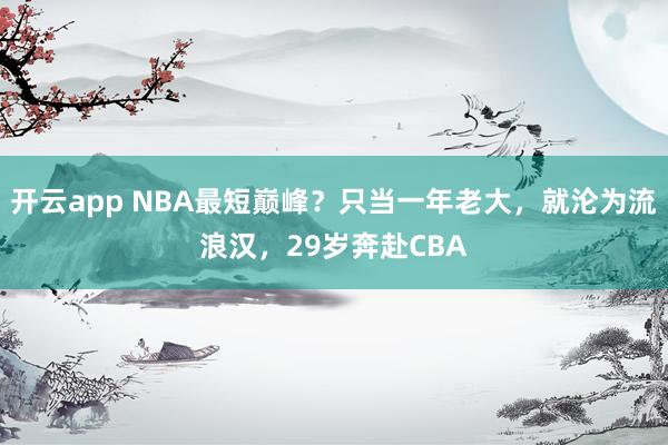开云app NBA最短巅峰？只当一年老大，就沦为流浪汉，29岁奔赴CBA