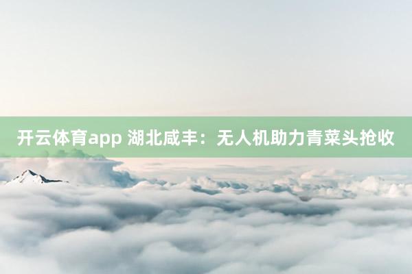 开云体育app 湖北咸丰:无人机助力青菜头抢收