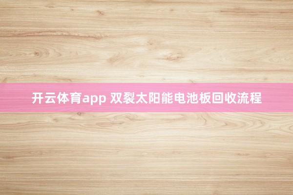 开云体育app 双裂太阳能电池板回收流程