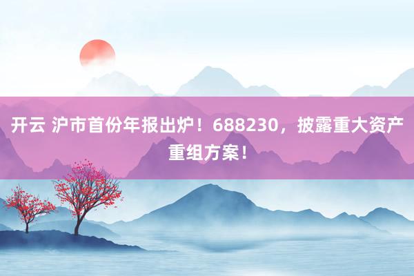 开云 沪市首份年报出炉！688230，披露重大资产重组方案！