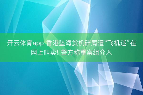 开云体育app 香港坠海货机碎屑遭“飞机迷”在网上叫卖! 警方称重案组介入