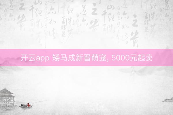 开云app 矮马成新晋萌宠, 5000元起卖