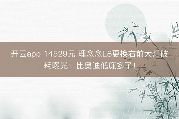 开云app 14529元 理念念L8更换右前大灯破耗曝光：比奥迪低廉多了！