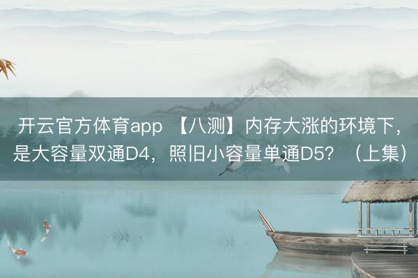 开云官方体育app 【八测】内存大涨的环境下,是大容量双通D4,照旧小容量单通D5?(上集)