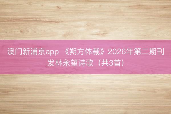 澳门新浦京app 《朔方体裁》2026年第二期刊发林永望诗歌（共3首）
