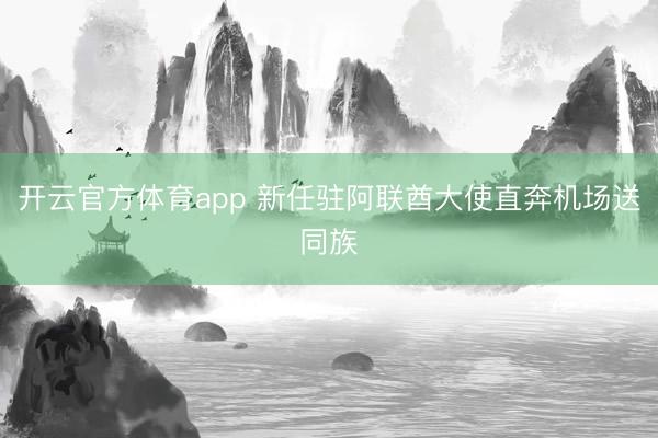 开云官方体育app 新任驻阿联酋大使直奔机场送同族